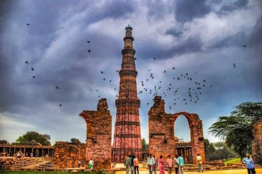 Delhi Safari