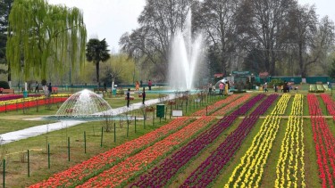 Things to do in Tulip Garden , Srinagar